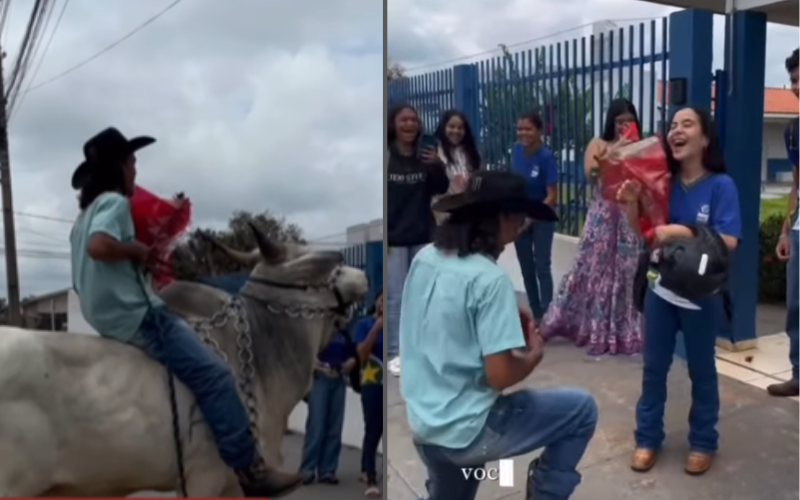 Montado em boi e com buquÃª rapaz pede namorada em casamento na escola; vÃ­deo